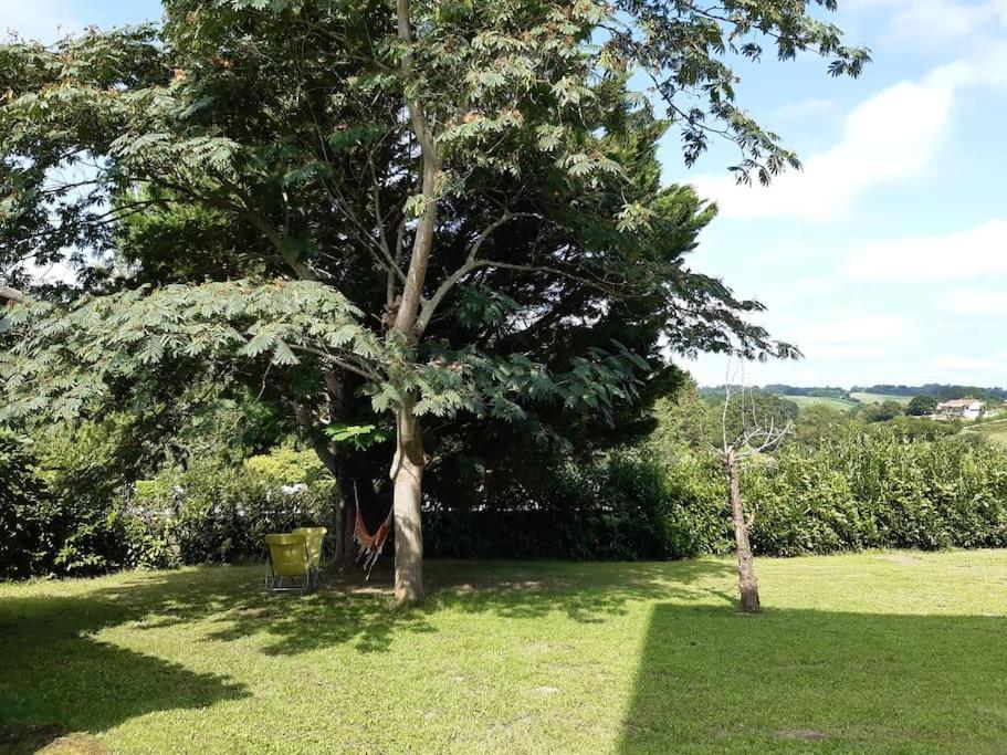 Logement Calme Et Authentique A Espelette Exterior foto